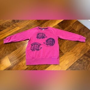 Uniqlo x Lisa Larson Girls Hedgehog Purple Pockets Sweatshirt UT 5-6